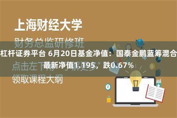 杠杆证券平台 6月20日基金净值：国泰金鹏蓝筹混合最新净值1.195，跌0.67%