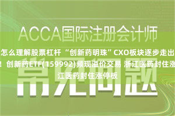 怎么理解股票杠杆 “创新药明珠”CXO板块逐步走出低谷！创新药ETF(159992)频现溢价交易 浙江医药封住涨停板