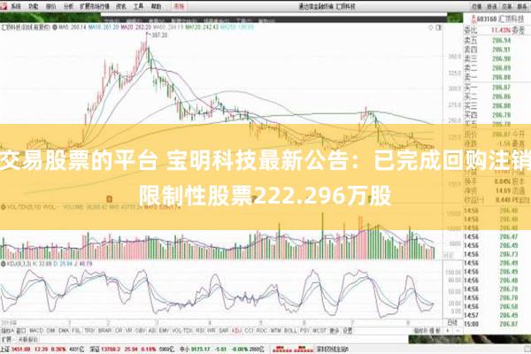 交易股票的平台 宝明科技最新公告：已完成回购注销限制性股票222.296万股