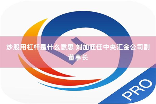 炒股用杠杆是什么意思 刘加旺任中央汇金公司副董事长