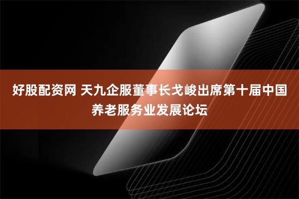 好股配资网 天九企服董事长戈峻出席第十届中国养老服务业发展论坛