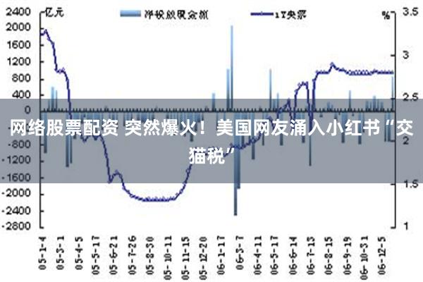 网络股票配资 突然爆火！美国网友涌入小红书“交猫税”