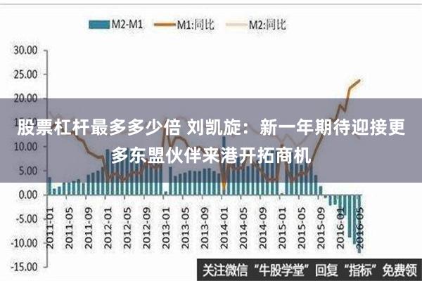 股票杠杆最多多少倍 刘凯旋：新一年期待迎接更多东盟伙伴来港开拓商机