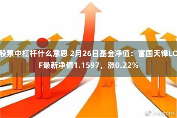 股票中杠杆什么意思 2月26日基金净值：富国天锋LOF最新净值1.1597，涨0.22%